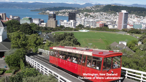 wellington image